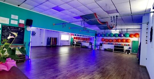 Yoga & Wellness Studios