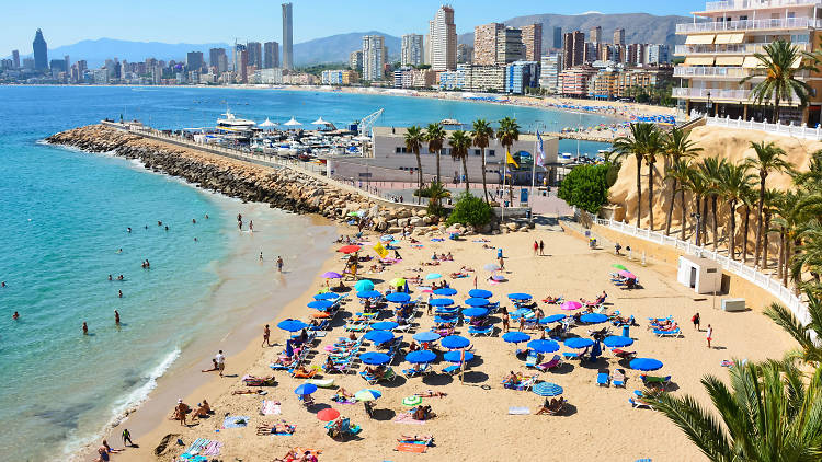Benidorm Nomad Survival Tips