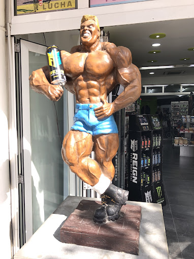 Fitness World 4