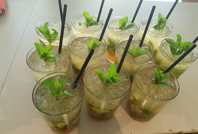 Coconut benidorm 16