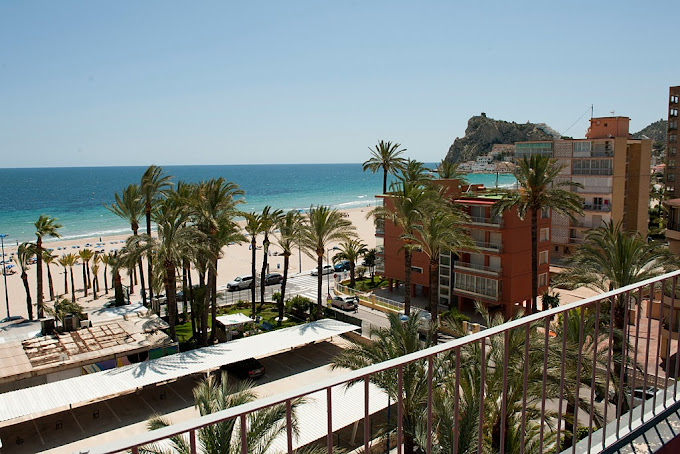 Hotel El Palmeral 12