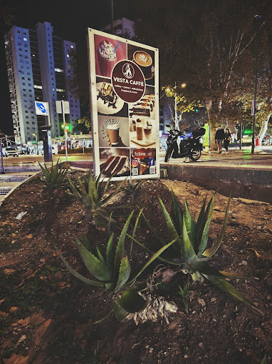 Vesta Caffe 15