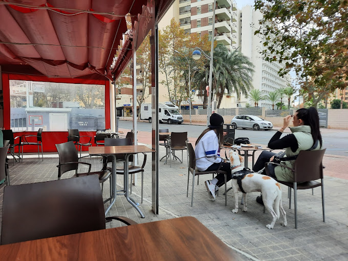 Haomar pasteleria cafeteria 6