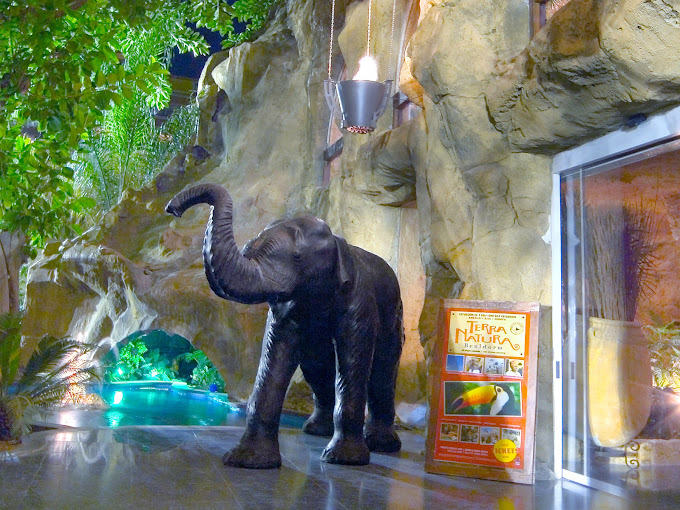 Hotel Magic Aqua Rock Gardens 18