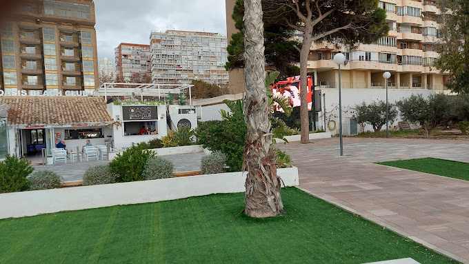 Oasis Beach Club Benidorm 14