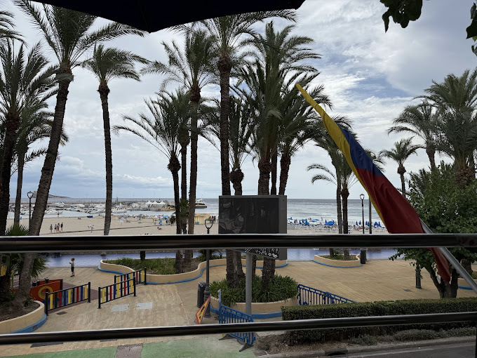 Restaurante Zodiac Benidorm 13