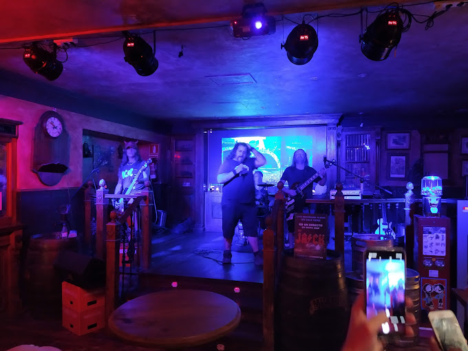 The Guinness Bar 11