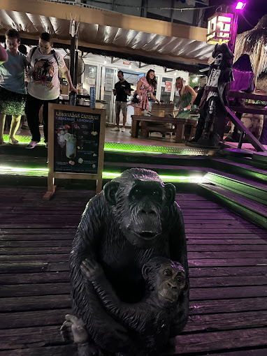 The Jungle 16
