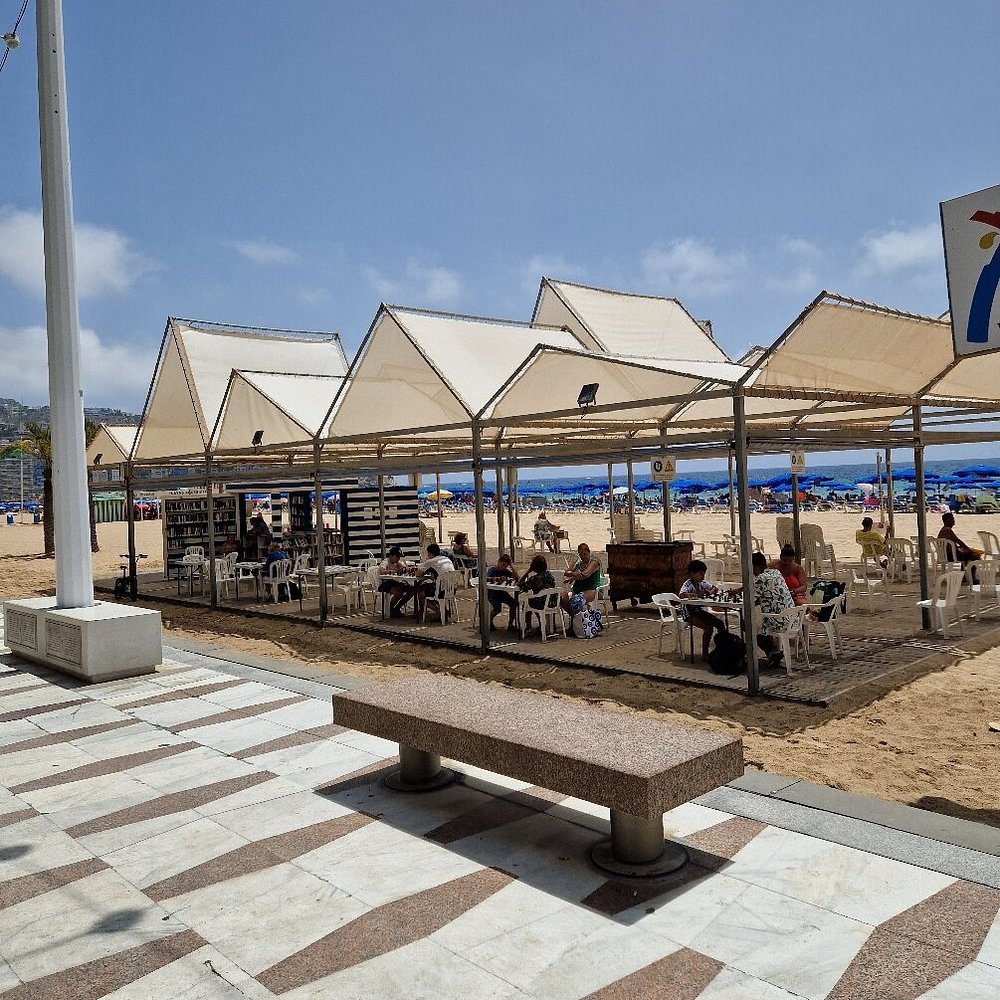 public libraries Benidorm