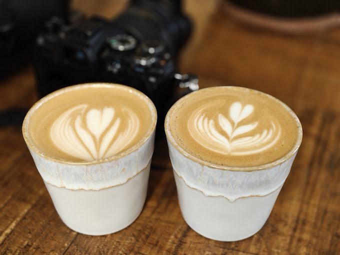 Swallow Specialty Coffee 5
