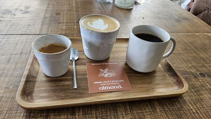 Swallow Specialty Coffee 8