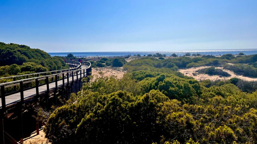Arenales del Sol for Digital Nomads