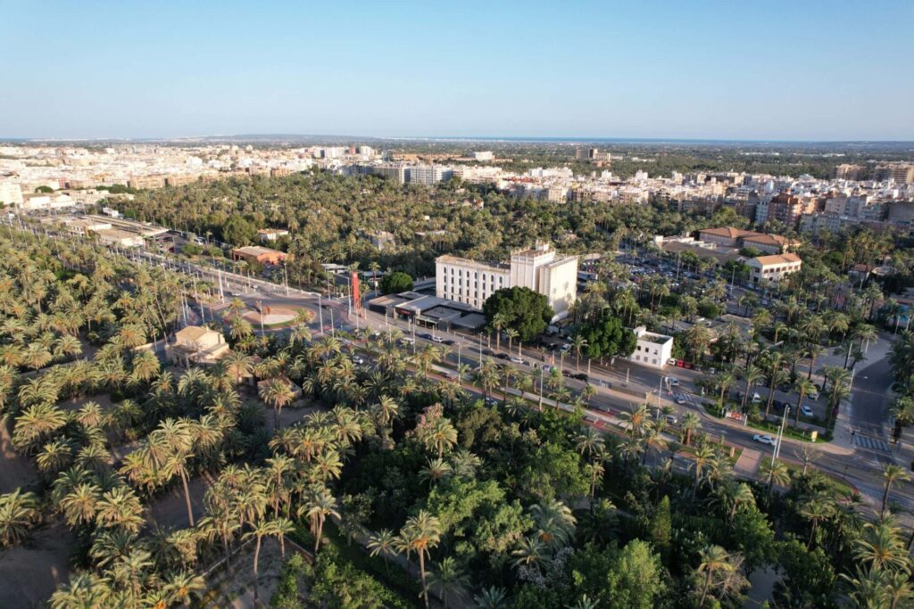 Come to the Palmeral de Elche