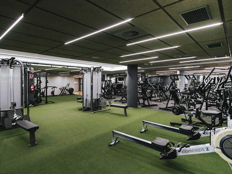 Elche Gyms