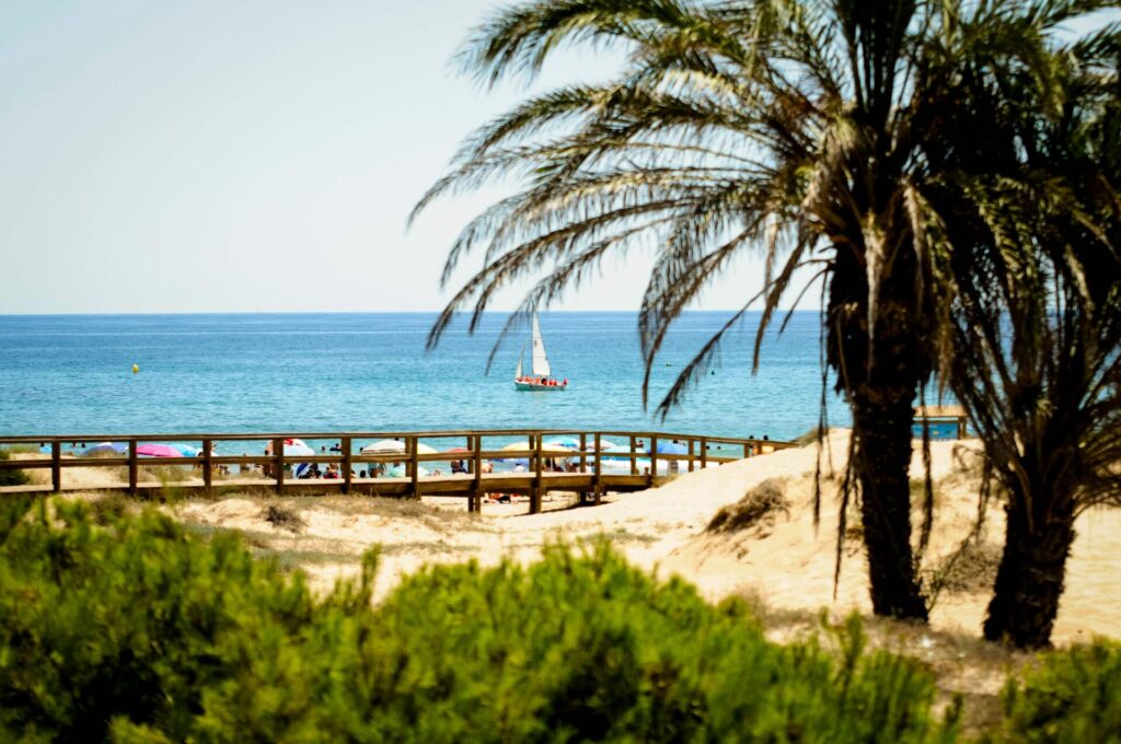Elche beaches