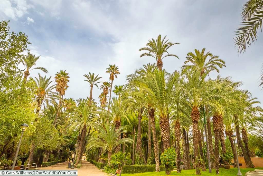 Elche day trip from Benidorm