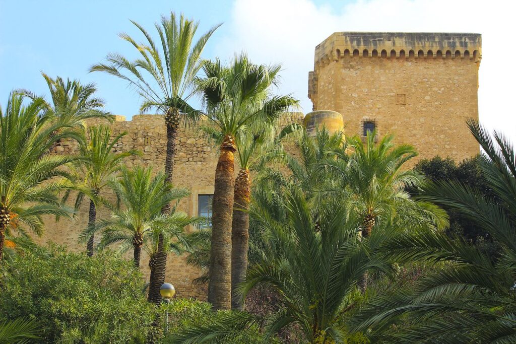 Elche for digital nomads