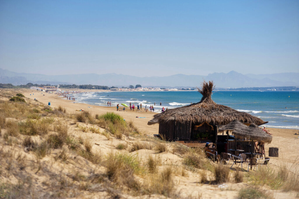 Elche for expats and digital nomads