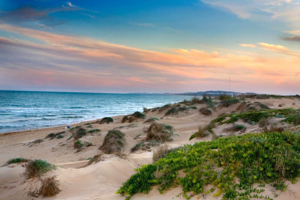 La Marina Beaches