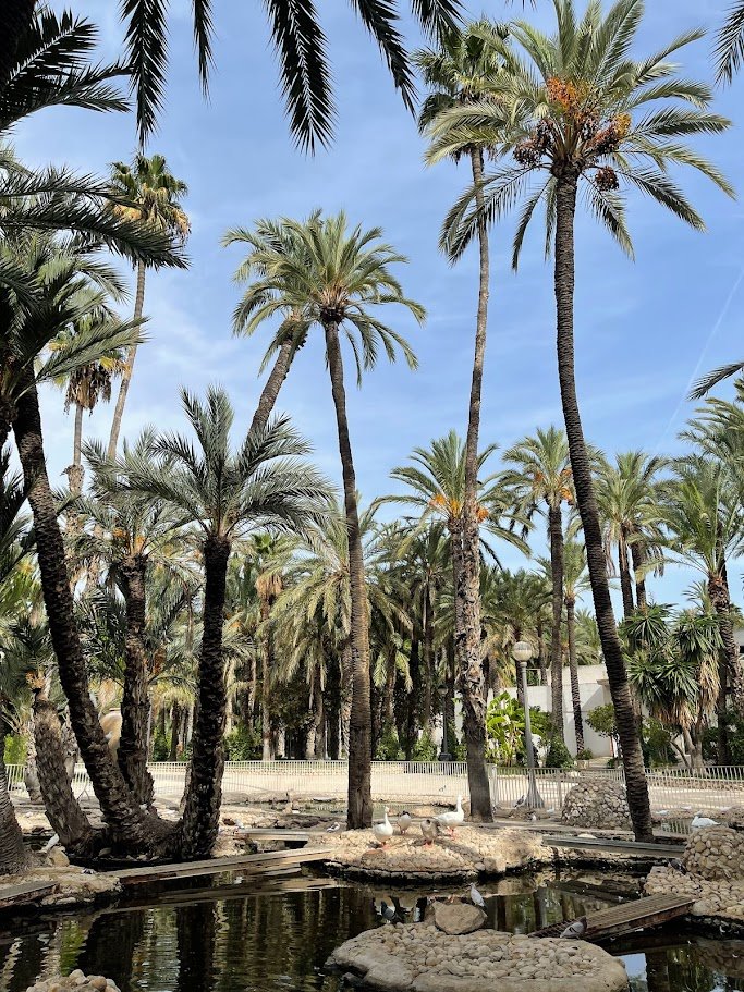 Museo del Palmeral