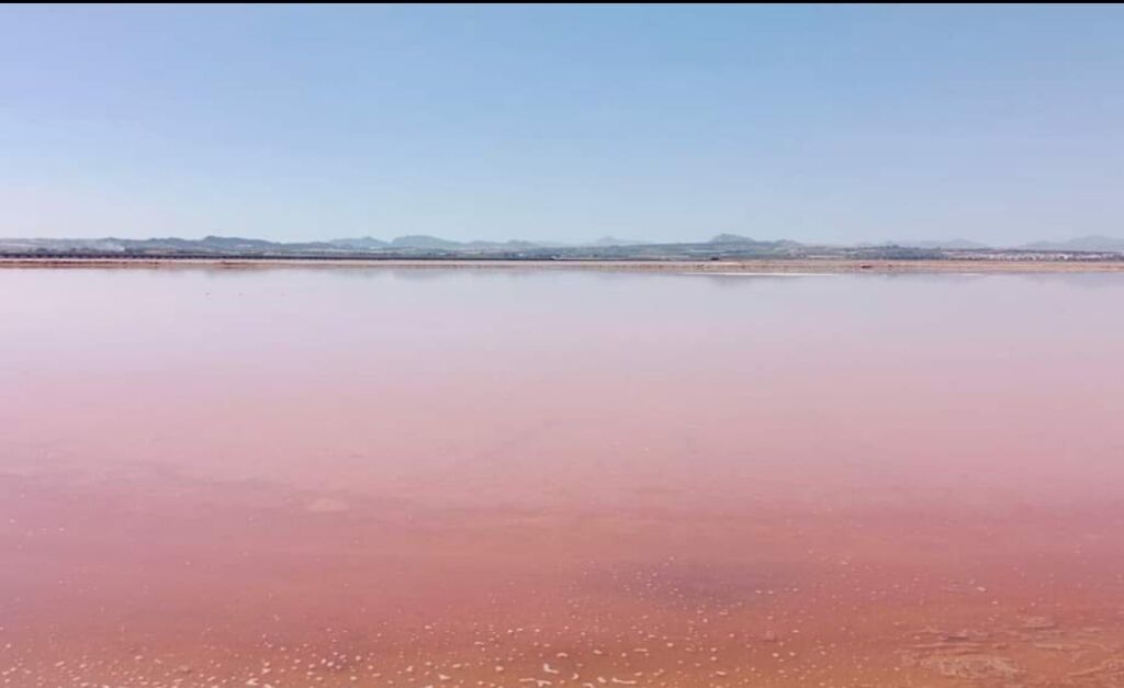 Salinas de Santa Pola Natural Park