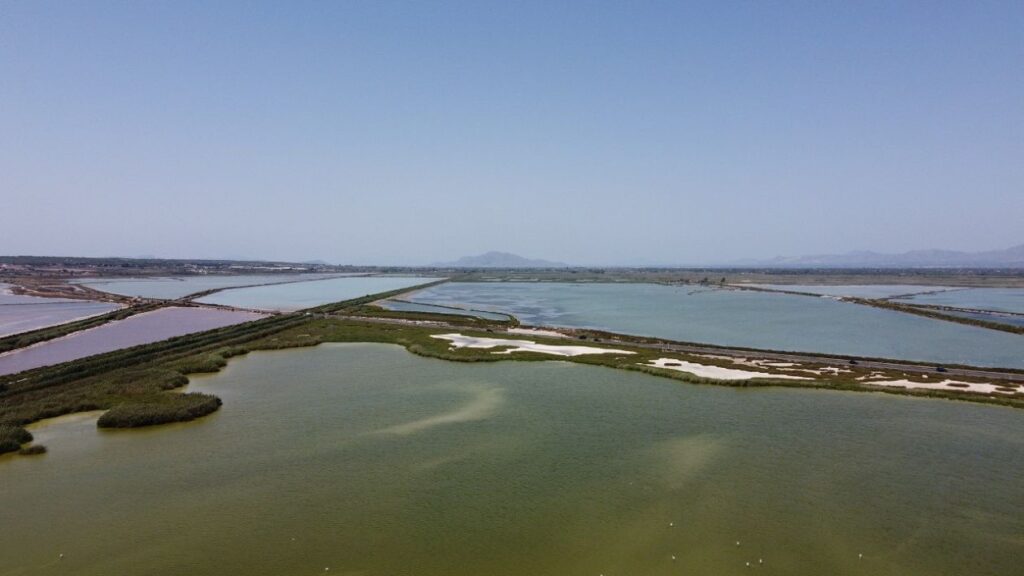 Santa Pola birdwatching