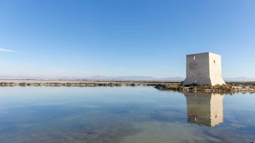 Tamarit Tower Santa Pola
