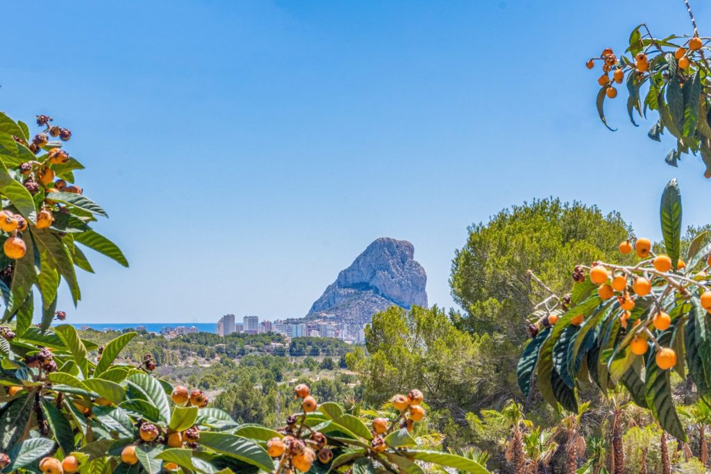 The Peñón de Ifach Route Explained Step by Step