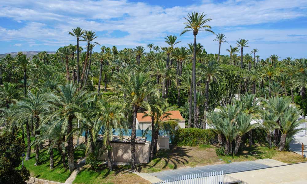 best places to live in Elche