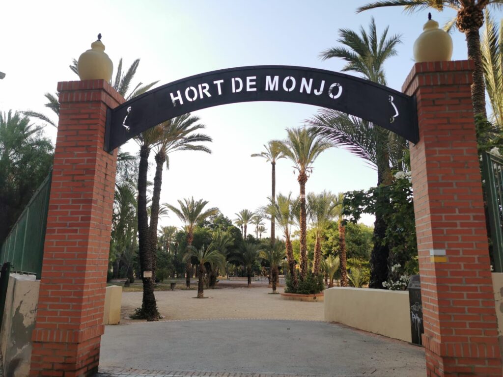 things to do in Elche