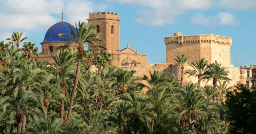 working from Elche Palm Grove