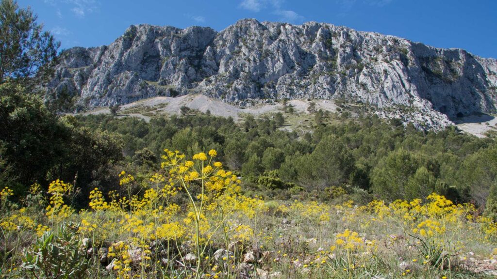What Is Sierra de Bernia
