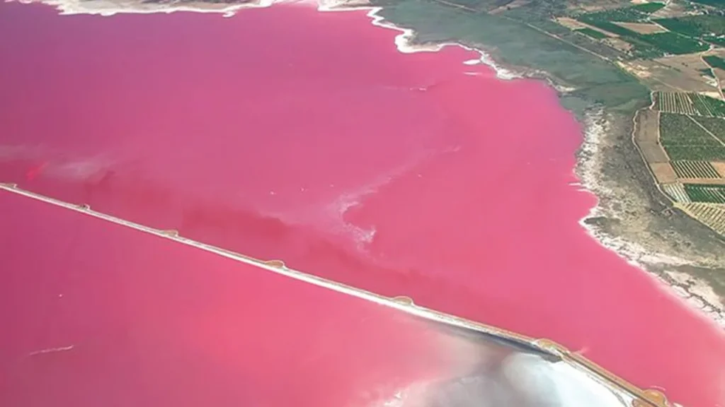 Is the Pink Lagoon Worth the Trip from Benidorm