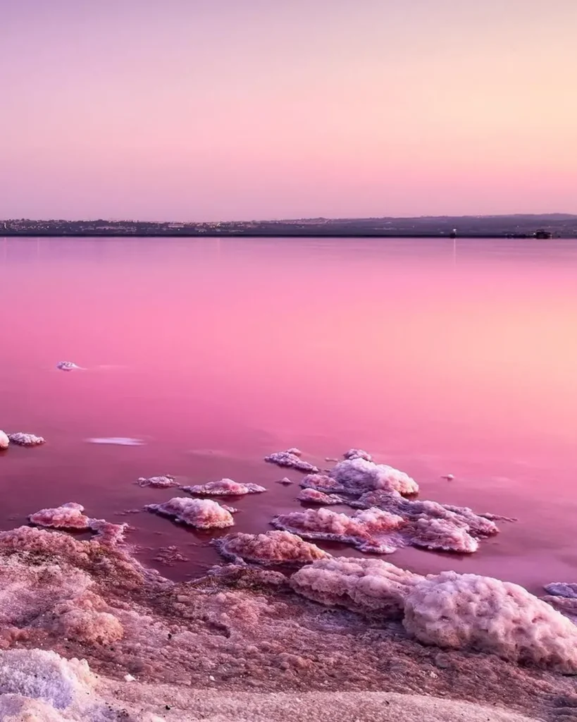 Laguna Rosa Torrevieja