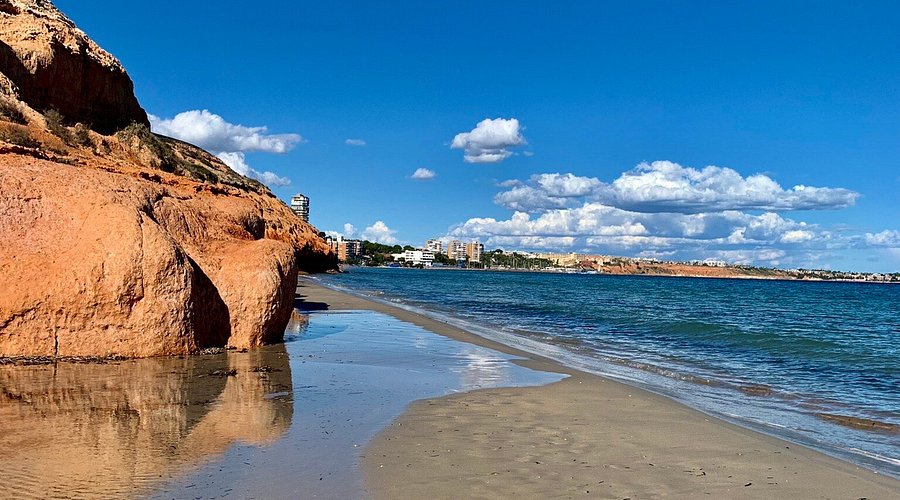 Mil Palmeras remote work