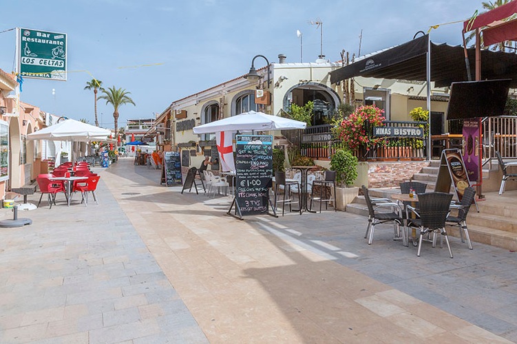 Mil Palmeras Costa Blanca
