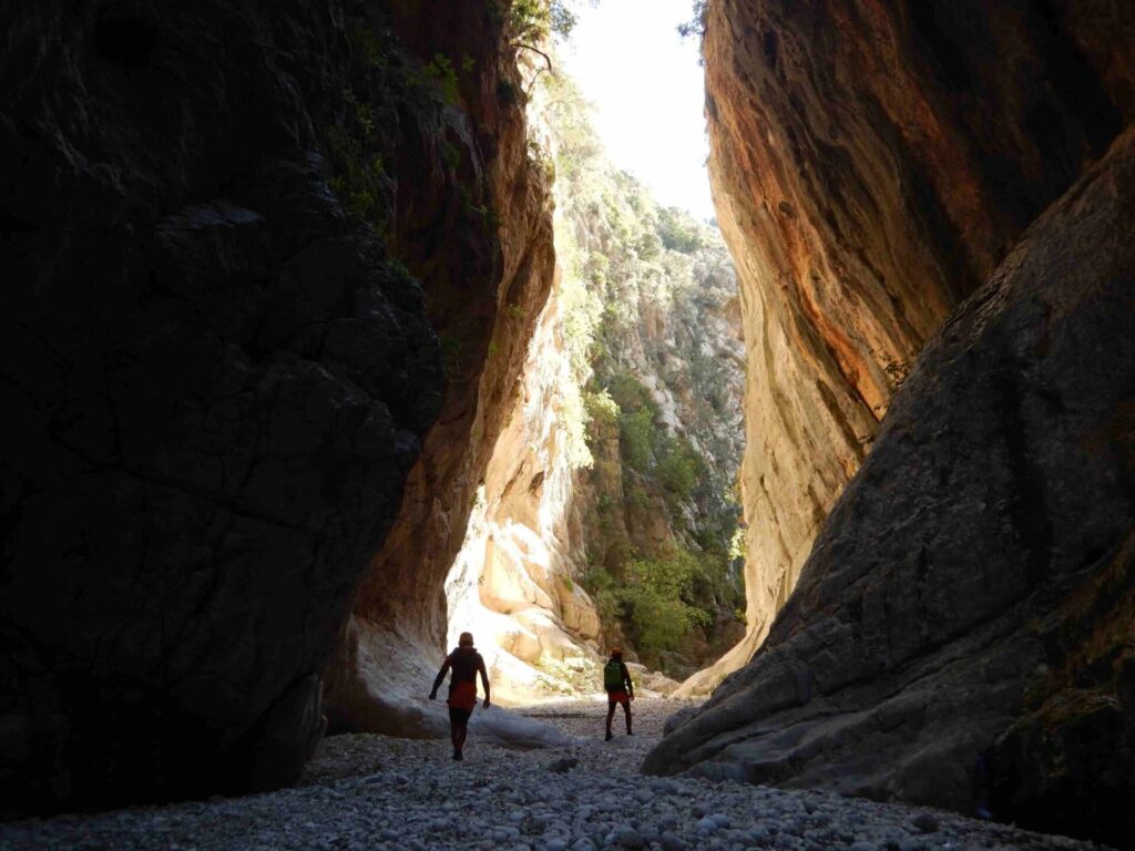 day trips from Benidorm