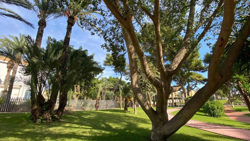 living in Crevillente Spain